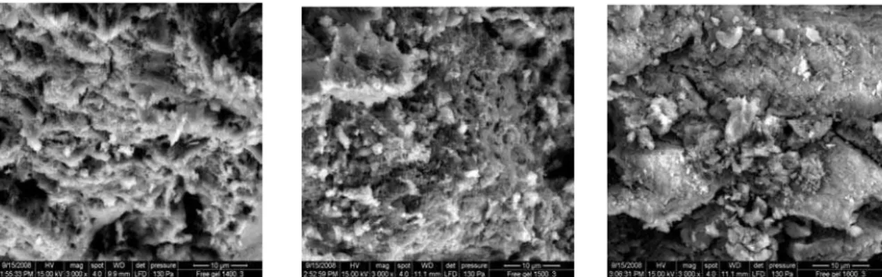 Figure 3B: Scanning electron microscopy micrograph of the sintered gel samples with 3% Cr 2 O 3  additive(i): sintered at  1400  o C (ii) sintered at 1500  o C (iii) sintered at 1600  o C.