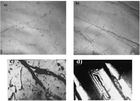 Figure 5: SEM images (a and b) of pigments.