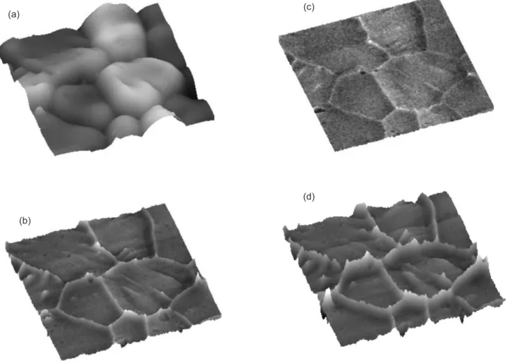 Figure 1: Analysis of BiCuVOX by AFM/EFM: (a) 3D topography image (10 x 10 x 1.2) mm; 3D proiles EFM with application of external  voltage (10  x  10)  m m: (b) 4 V (c) 8 V, (d) 12 V.