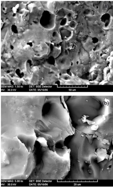 Figure  4:      SEM  micrographs  of  fracture  surfaces  of  specimens  sintered at 1250 °C (a) and details at higher magniication (b)