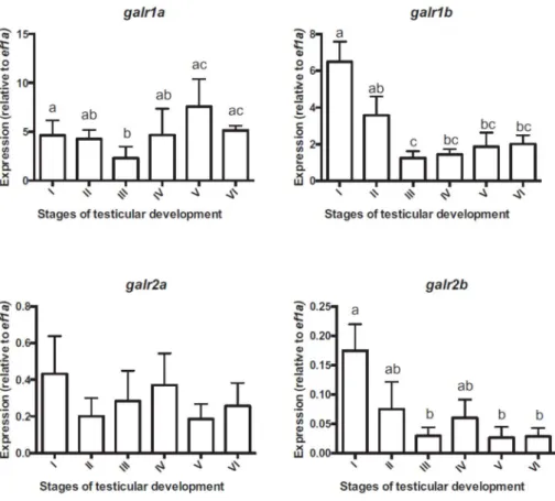 Figure 2. mRNA expression profiles of galr transcripts in the pituitary of 2-years old male throughout  the reproductive season