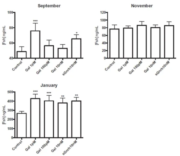 Figure 4. In vitro effects of galanin on the release of gonadotropin Fsh by dispersed pituitary cells  from 2-year-old male sea bass at different times of the reproductive cycle
