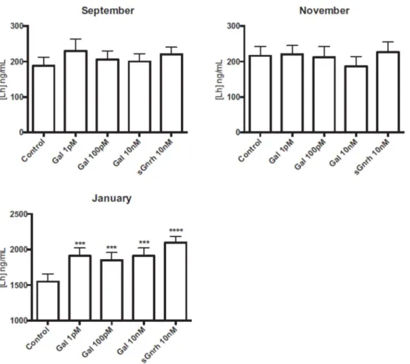 Figure 5. In vitro effects of galanin on the release of gonadotropin Fsh by dispersed pituitary cells  from 2-year-old male sea bass at different times of the reproductive cycle