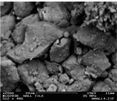 Figure 11: SEM micrograph of the compacted sample at 60 MPa.