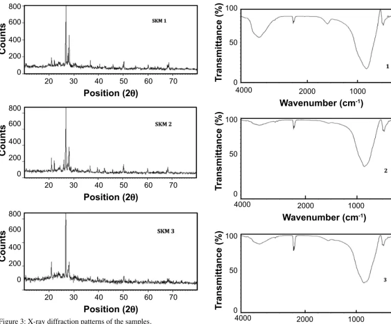 Figure 4: FTIR spectra of samples SKM1, SKM2 and SKM3.