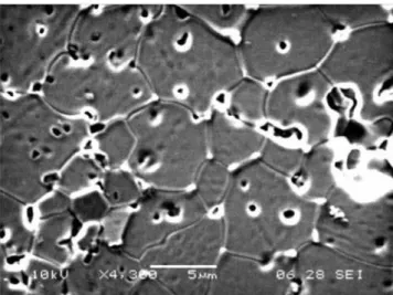 Figure  7:  Scanning  electron  microscopy  micrograph  of  Ce 0.04 Y 0.08 Sc 0.6 Zr 3.2 O 7.60 , after ageing.