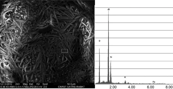 Figure 3: a) SEM microphotography of  ﬁ  rebrick; b) EDX analysis of the area indicated by a blue rectangle [13]