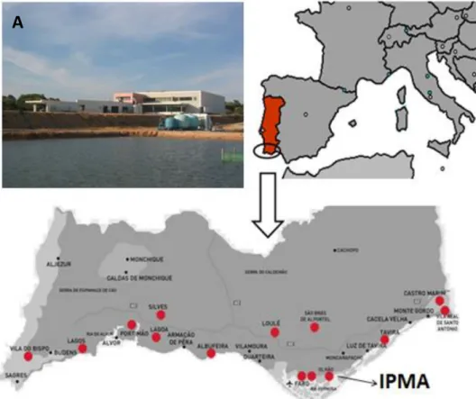 Fig. 2. Imagem da EPPO – Estação Piloto de Piscicultura de Olhão e mapa da localização do  IPMA- Instituto Português do Mar e da Atmosfera, em Olhão – PT