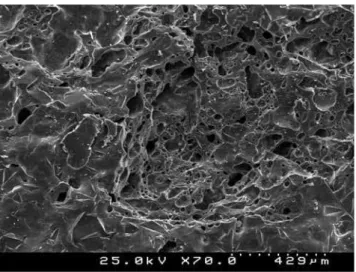 Figure 4: Black slate  ﬁ  red up to 1050 °C; dimensions 25 cm x 21  cm x 3 cm.