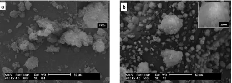 Figure 4: Scanning electron microscopy of samples (a) aerosil 200 commercial silica and (b) standard sample SiMCM-41.
