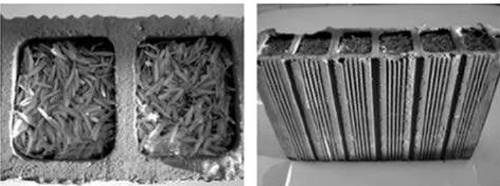 Figure 3: Hollow clay brick with agglomerated rice husk inside it  (acoustic hollow clay brick).