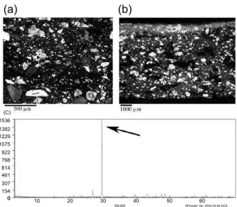 Figure 1: Pottery sample SM-660. A) Microphotograph taken by  means of binocular microscope showing a high percentage (30%)  of white and grey coarse rhombic particles