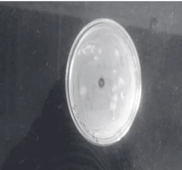 Figure 6: S 1  sample activity against  S. aureus.