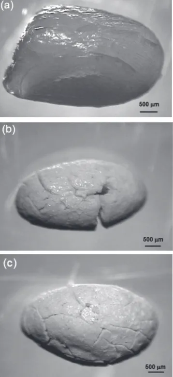 Fig. 4 shows the thermogravimetric analysis of precursor  material (before calcination)