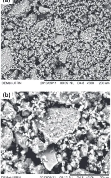 Figure 5: SEM micrographs of glass powder at magniications: (a)  500x (b) 2000x.
