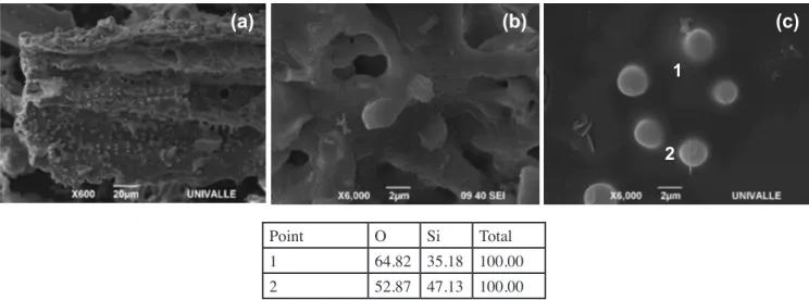 Figure 9: Wide view (X600) (a), detailed view (X6000) (b) and EDS analysis (c) of RSA obtained from calcination Process D (800 °C).