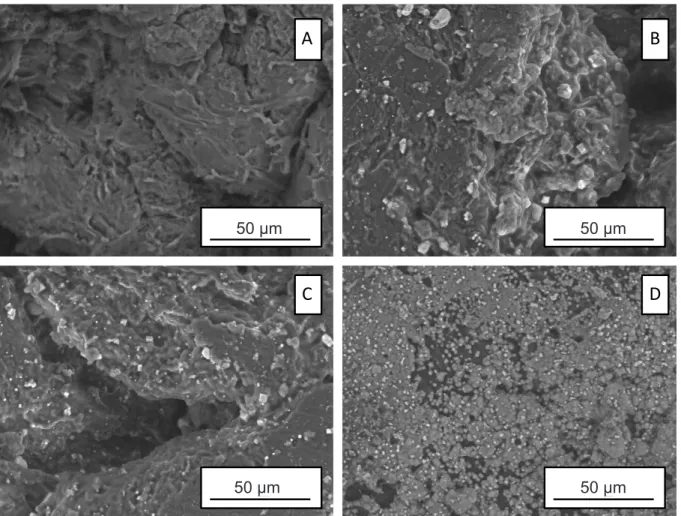 Figure 4: Surface morphology of the PHB sample before (a) and after immersion in SBF for 7 days (b), and of the PHB/HA sample with  10 wt% HA before (c) and after immersion in SBF for 7 days (d).