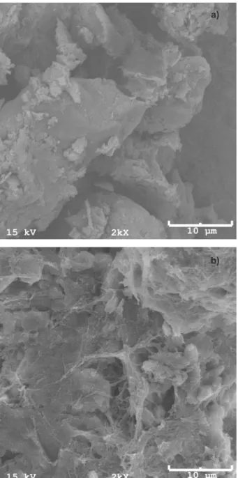 Figure 6: SEM micrographs of surface fractures on the clay  bricks: (a) poorly interconnected aggregates in the porous  microstructure; (b) formation of a ibrous network linking  the aggregates.