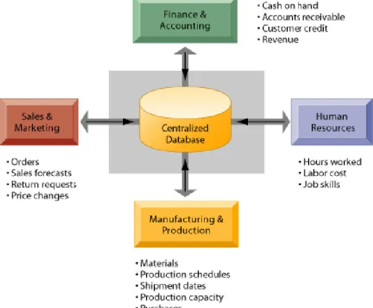 Figura 2.6: Arquitectura de Enterprise Resource Planning [1]