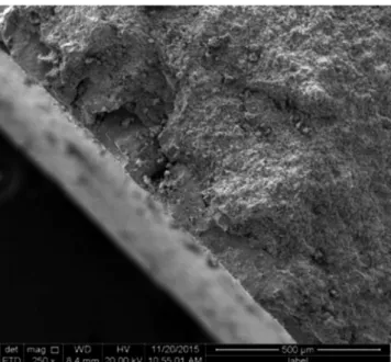Figure 7: Cross-sectional SEM micrograph of the CGO/CuO-SDC  half-cell prepared by co-pressing and co-iring at 1100 °C.