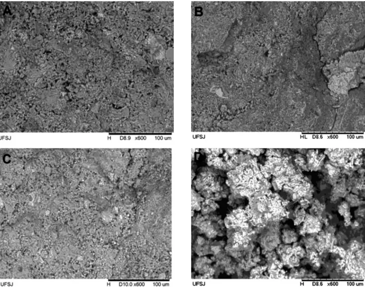 Figura 3: Micrograias obtidas por microscopia eletrônica de varredura de PCD reidratado: (A) cimento com 40% de 700-PCD; (B) cimento  com 60% de 700-PCD; (C) cimento com 40% de 900-PCD; e (D) cimento com 60% de 900-PCD.