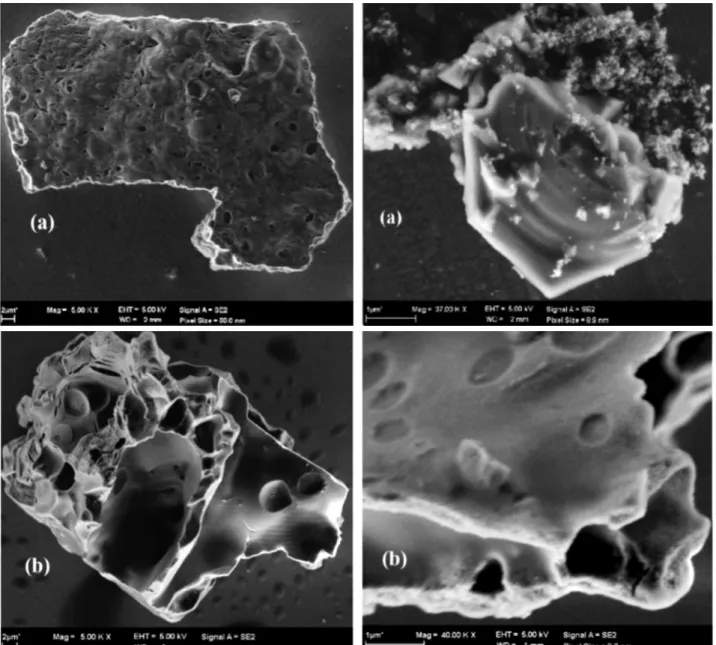 Figure 3: SEM micrographs of (a) 5% Ni/MgAl 2 O 4  and (b) 5%Ni/ZnAl 2 O 4 .