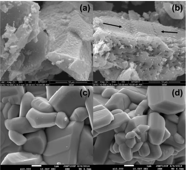 Figure 6: SEM image of KNb 3 O 8  synthesized by PP method heat  treated at 750 °C.