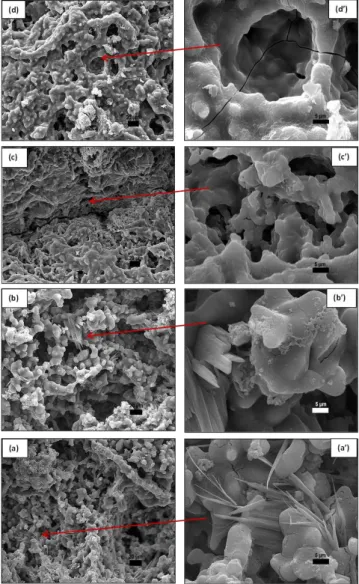 Figure 6: Apparent porosity and bulk density as function of additive  content.