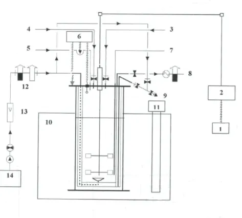Figure 1: Diagram of the bioreactor: (1) engine regulator, (2) engine, (3) inoculum, (4) fructose, (5) antifoam,  (6) antifoam controller, (7) thermometer, (8) air exhaust system with filter and condensator, (9) sampling, (10) 