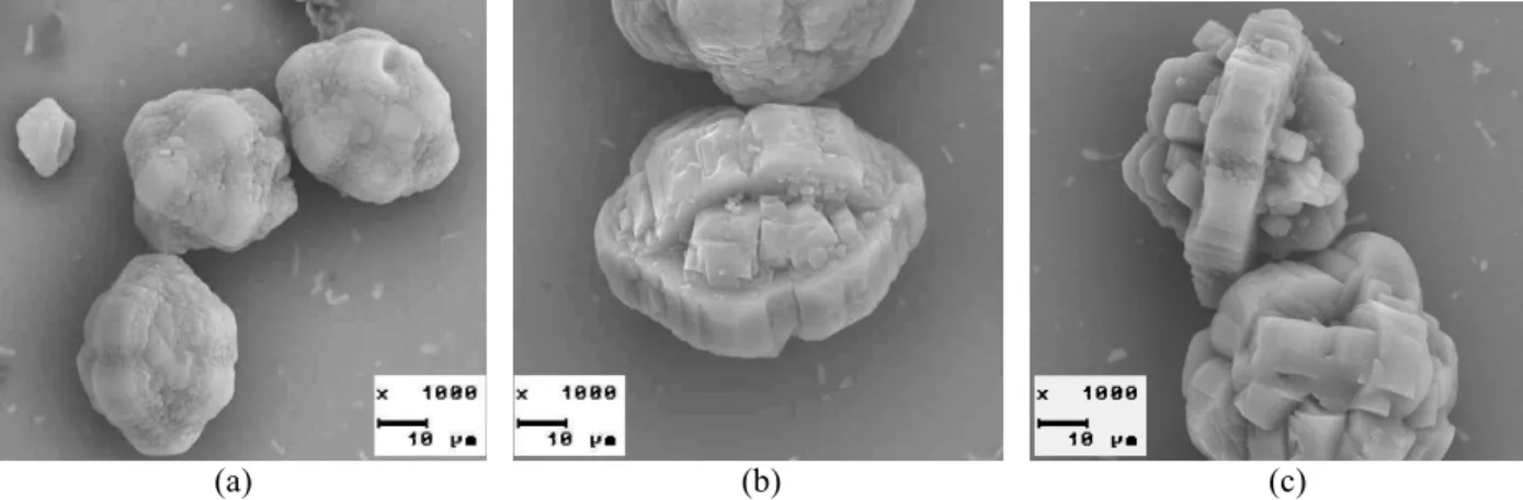 Figure 2: SEM micrographs of the synthesized zeolites: (a) Na-ZSM-5(18); 