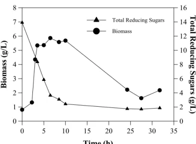 Figure 2: Time course of biomass accumulation and sugar consumption during growth of Bacillus subtilis R14 in medium M3.
