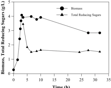 Figure 5: Time course of biomass accumulation and sugar consumption during growth of Bacillus subtilis R14 in medium M4.