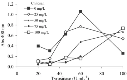 Figure 2: Evaluation of color in reactional media with buffered phenol solution, crude tyrosinase and acetic chitosan solution (reaction time of 20 hours).