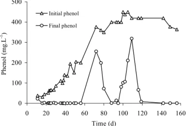 Figura 5: Phenol removal during microbial aclimatization.