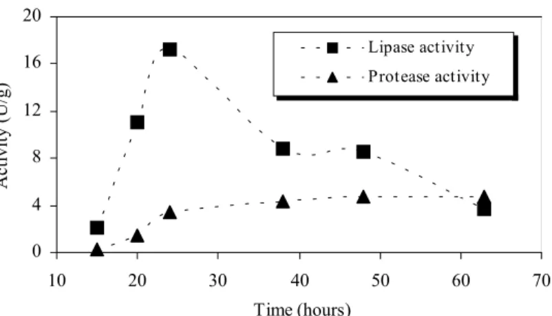 Figure 1: Variation in activity ratio (lipase/protease) throughout the fermentation time for different types of supplement.