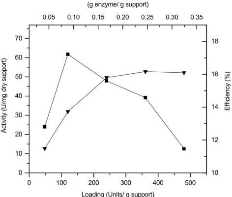 Figure 1: Effect of lipase loading on hydrolytic activity ( ) and on activity yield ( ) for Candida rugosa  immobilized on porous chitosan beads (PCB)