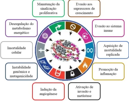 Figura 2. Características fundamentais para o desenvolvimento do câncer. Na figura estão representados os  principais  fatores  relacionados  a  evasão  ao  sistema  imune,  a  promoção  da  inflamação  no  ambiente  tumoral,  a  imortalidade celular, a ca