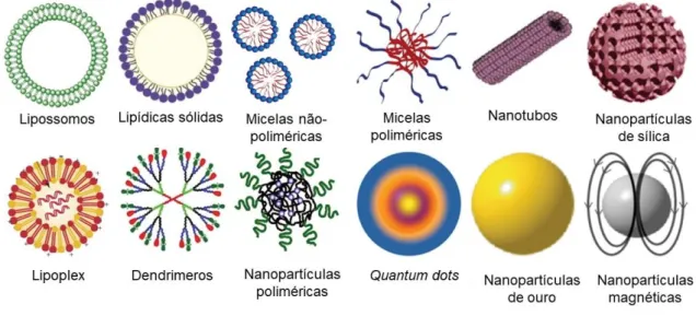 Figura 6. Diferentes tipos de nanopartículas (NPs). Representação gráfica das NPs comumente utilizadas para  aplicações biomédicas