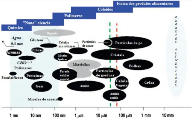 Figura  16 - Importantes elementos estruturais relacionados com os alimentos (Aguilera, 2012)