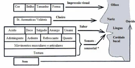 Figura 30 - Representação esquemática das impressões percebidas através da análise sensorial 11 
