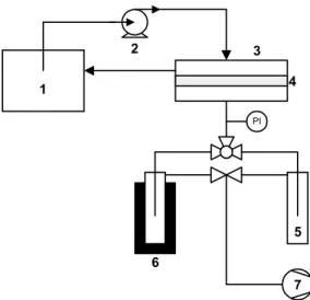 Figure 1: Experimental set-up for pervaporation tests. 