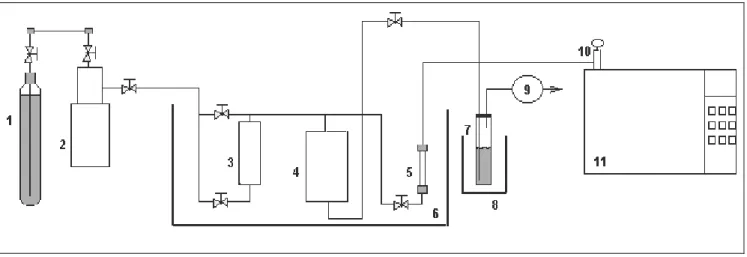 Figure 1: Schematic diagram of the apparatus used for desorption experiments were: 1) gas cylinder  (minimum purity of  99.9%, AGA); 2) high pressure pump; 3) saturator; 4) mixing tank (Berghof  Labortechnik, 