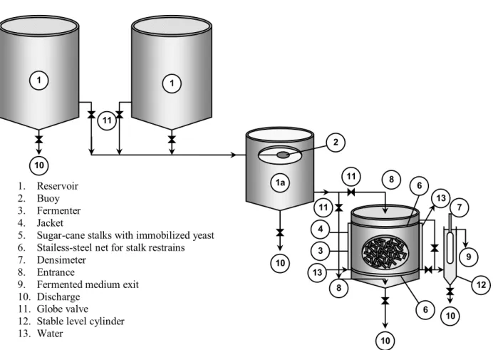 Figure 1: Flow of the continuous alcoholic fermentation process with yeast immobilized on sugar-cane stalks