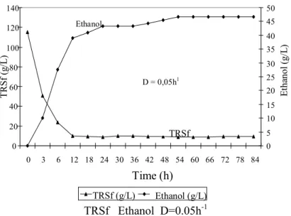 Figure 3: Continuous alcoholic fermentation with immobilized yeast on sugar-cane stalks at D = 0.05 h -1 .
