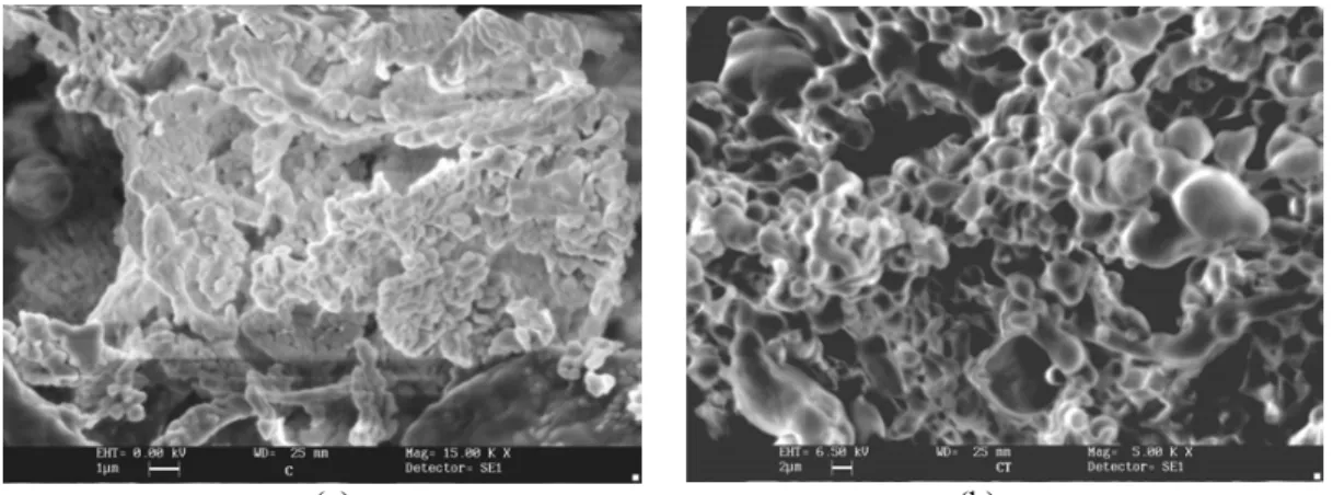 Figure 5: Scanning electronic microscopy of dried liposomes (PC:Chol 8:1 w/w).
