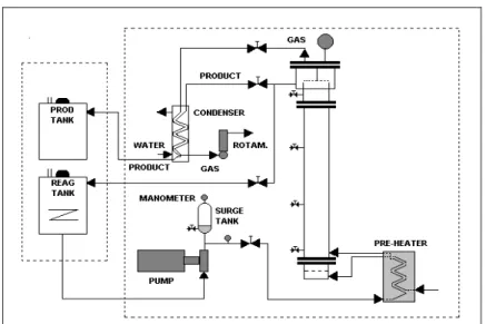 Figure 1: Schematic diagram of the continuous three-phase fluidized reactor. 