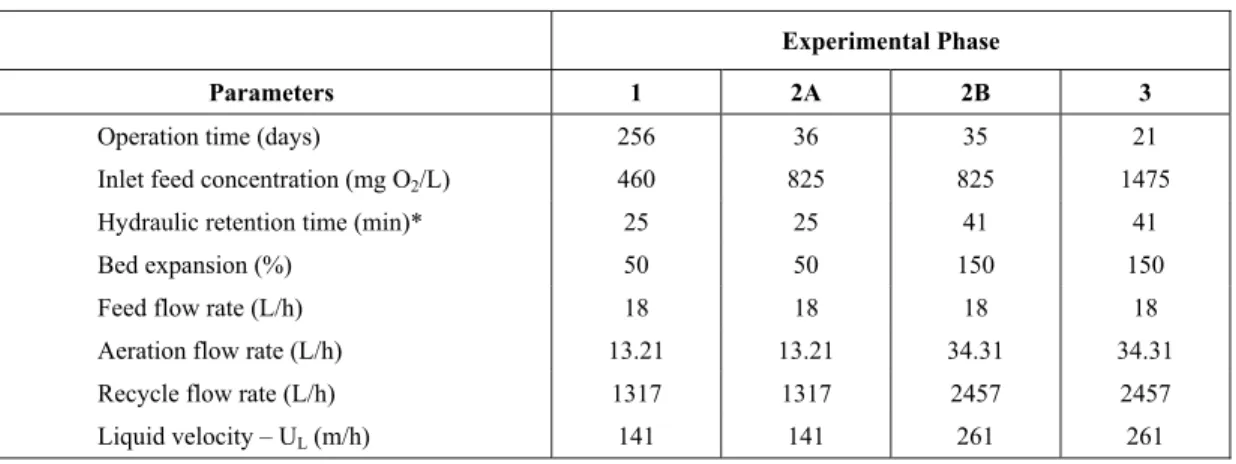 Table 2: Operational conditions used in three-phase FBBR 
