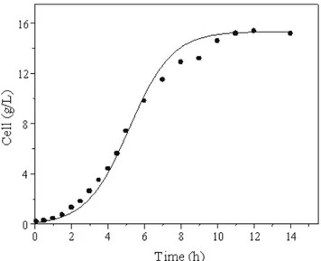 Figure 2:  Experimental data (discrete points) and results  calculated with Equation 4 (continuous line) in a batch run  with  Bacillus thuringiensis  var