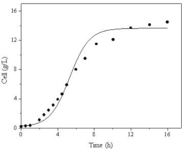 Figure 4:  Experimental data (discrete points) and results  calculated with Equation 4 (continuous line) in a batch run  with  Bacillus thuringiensis  var