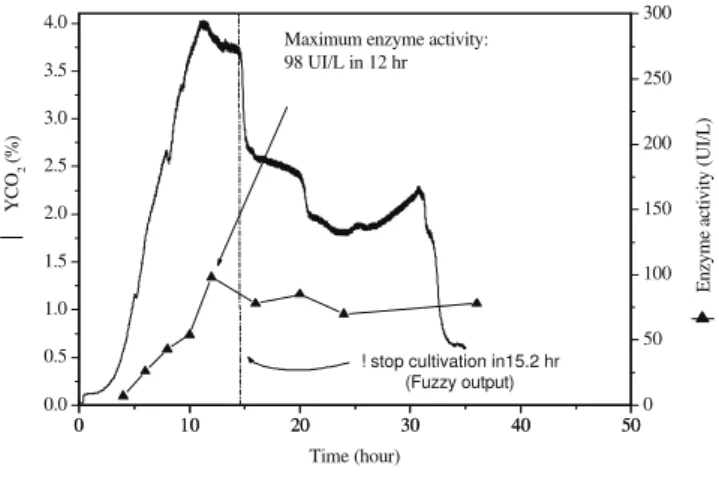 Figure 4: Validation of the fuzzy algorithm: (a) Run #4, estimated stop time 19.2 hr, maximum experimental enzyme  activity 20 hr (240 IU.L -1 ) (b) Run #5, estimated stop time 12.9 hr, maximum experimental enzyme activity 12 hr (203  